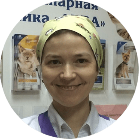 Авва